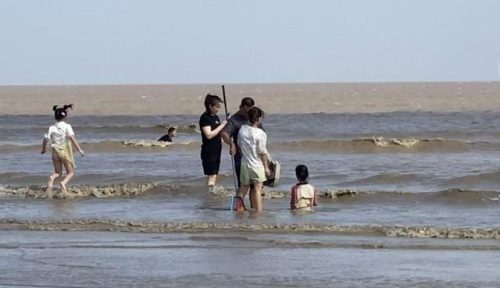 上海碧海金沙好玩吗(上海碧海金沙景区门票多少钱)插图5