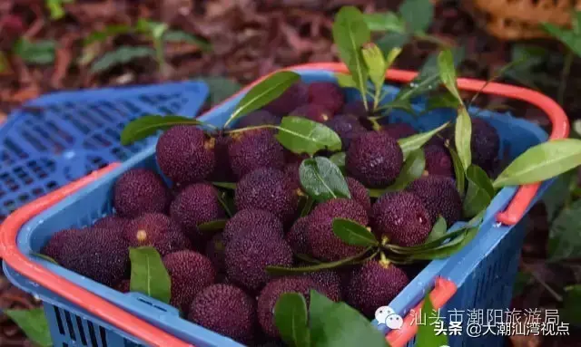 潮阳老牌小吃排名前十(潮阳棉城美食地点)插图3