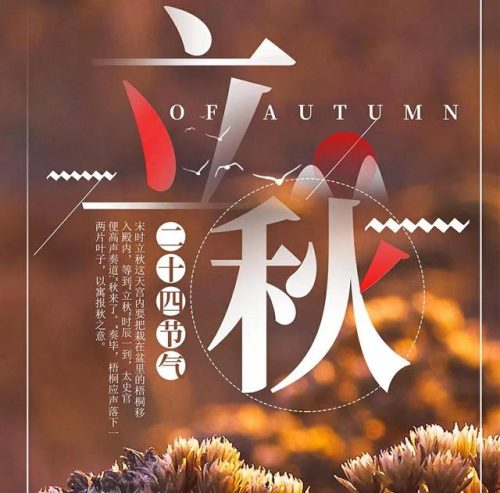 立秋图片大全高清(一叶知秋图片)插图61