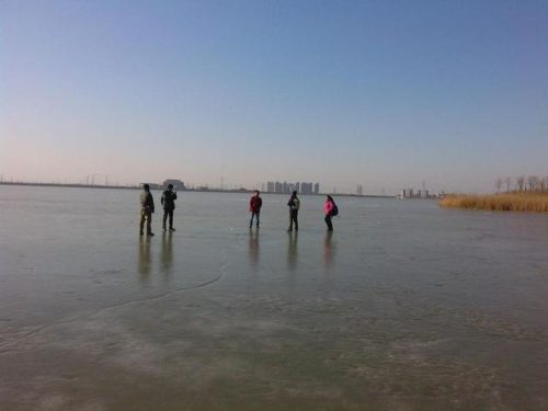 东丽湖度假村(东丽湖度假村值得买吗)插图21