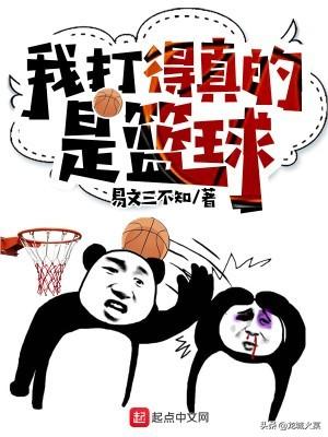 篮球小说(重生之篮球鬼才)插图2