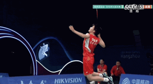 中国女子羽毛球队(中国羽坛十大女将)插图