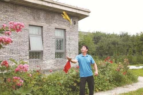 通州武术高手排名前十(武术九段多厉害)插图3