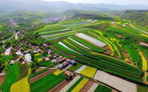宁夏梯田面积排名前十(梯田分布在哪些地区)