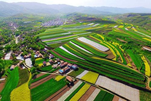 宁夏梯田面积排名前十(梯田分布在哪些地区)插图