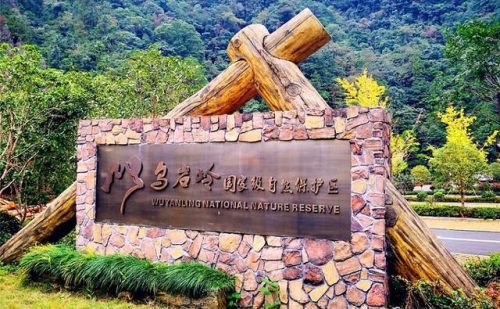 温州旅游景点(温州必去三大景点)插图31