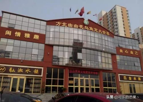 石家庄服装批发市场(石家庄服装批发市场在哪)插图14