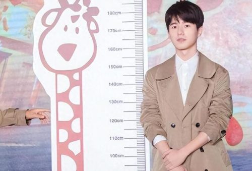 男明星身高排名前十(170以上的女明星)插图3