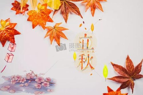 立秋图片大全高清(一叶知秋图片)插图70