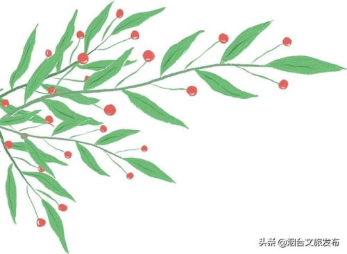 鸟的象形字(象形文字识别大全)插图1