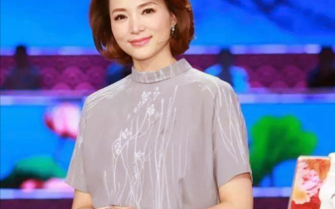 董卿为什么不主持央视春晚了(央视主持人董卿的简介)