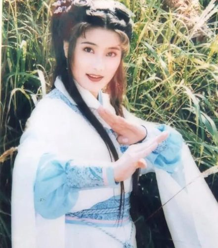 杨丽菁主演的电视剧(乞丐皇帝杨丽青)插图5