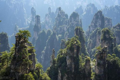 张家界著名旅游景点(张家界的旅游景点大全)插图25