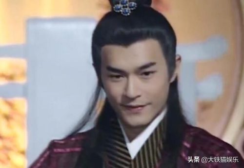 武侠明星(中国50位武打明星)插图9