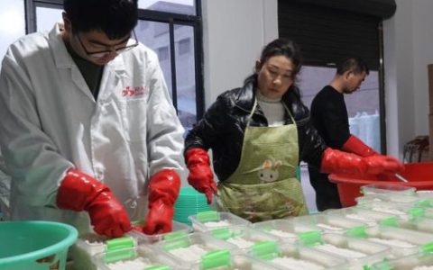洛阳好喝米酒排名前十(最大的米酒排名)