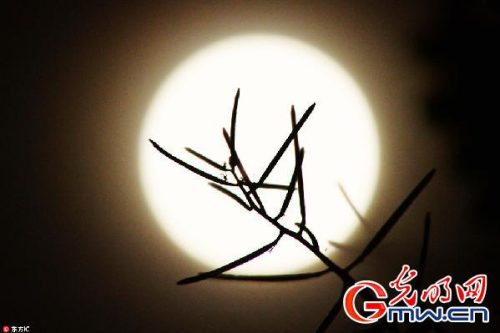 赏花赏月赏秋香(赏花赏月赏秋香的下联怎么对)插图2