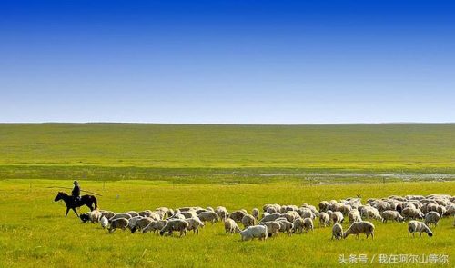 科尔沁旅游(科尔沁属于哪个市)插图1