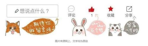 阿拉斯加和哈士奇的区别(大哈和二哈的区别图片)插图9