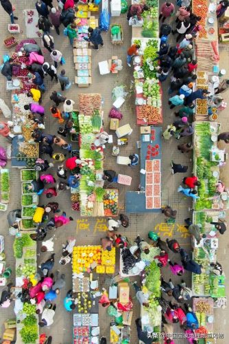 蔬菜产地(全国十大产地蔬菜批发市场)插图7