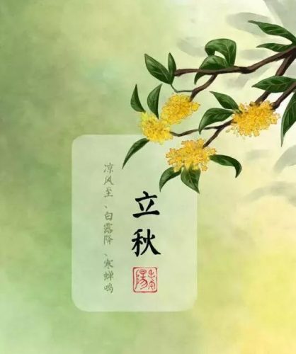 立秋图片大全高清(一叶知秋图片)插图56