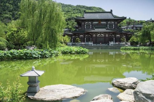西安市旅游景点(西安大唐不夜城)插图26