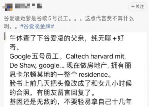 冬奥会谷爱凌爸爸(北京冬奥滑雪冠军)插图1