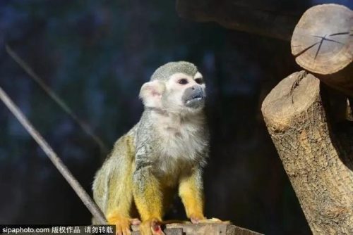 北京低龄乐园排名前十(北京适合老人孩子玩的地方有哪些)插图4