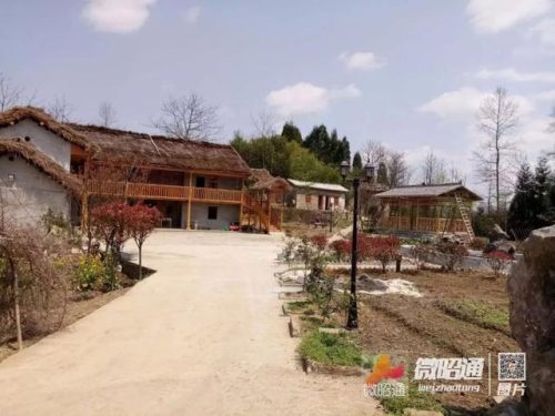 天麻面条厂家排名前十(中国面条品牌排行榜前十名)插图2