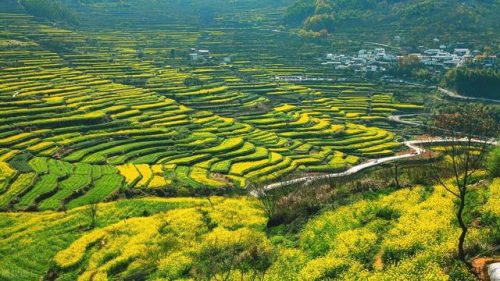 绍兴景点(绍兴一日游最佳地方)插图35