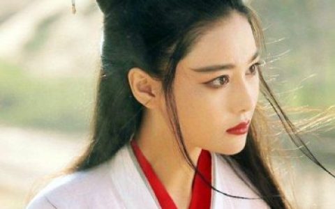 新边城浪子 电视剧(边城浪子)