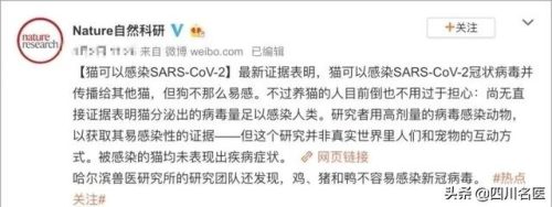 猫会感染新型冠状病毒吗(猫咪冠状病毒阳性)插图3