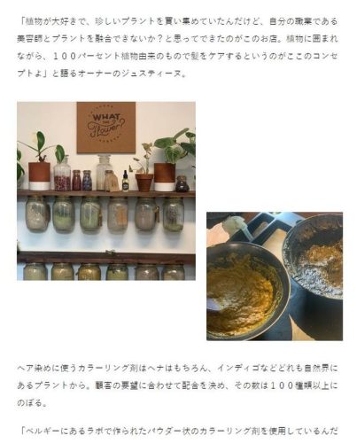 天天购物网(淘宝店铺怎么开)插图25