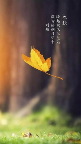 立秋图片大全高清(一叶知秋图片)插图8