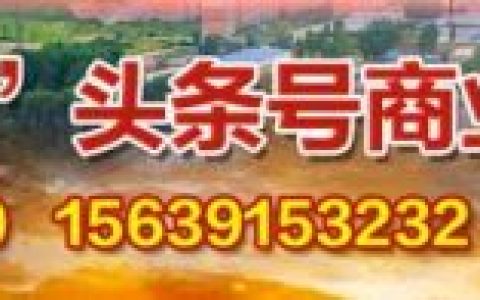 修武优质中学排名前十(修武县初中排名一览表)