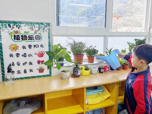 望城区中学排名前十(南康中学全国排名)插图15