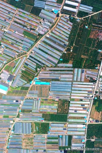 蔬菜产地(全国十大产地蔬菜批发市场)插图17
