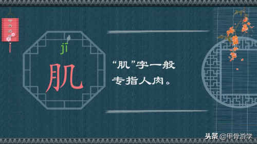 肉的笔顺(肉的部首是什么,再查几笔)插图12