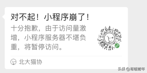 北大虐猫(北京大学学生流浪猫关爱协会)插图3