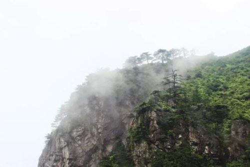 明朝诗人将军排名前十(唐宋诗人排名)插图3