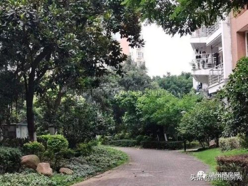 赣州精装豪宅排名前十(赣州豪宅推荐)插图13