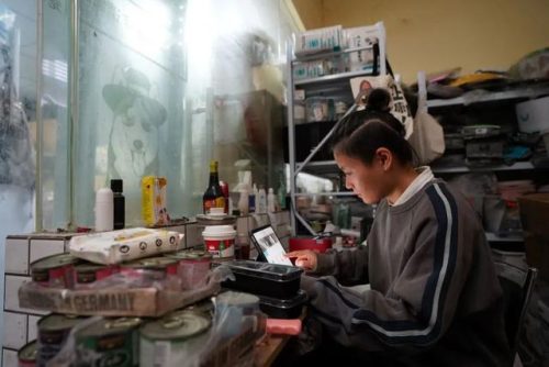 宠物用品店(宠物用品一手货源批发市场)插图4