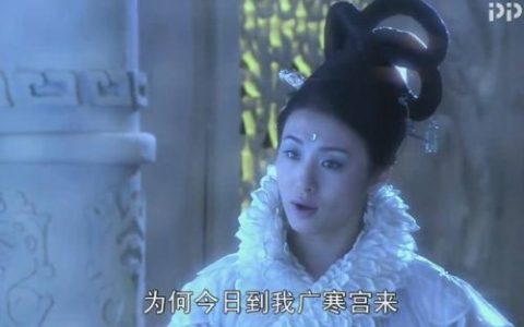 玉兔出宫是什么生肖(㜬宫玉兔指什么生肖)