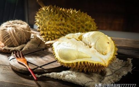 最贵热带果树排名前十(最有性价比的果树)
