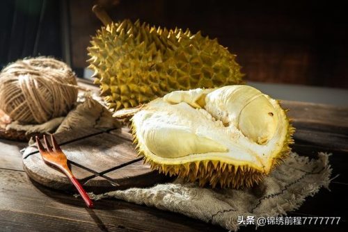 最贵热带果树排名前十(最有性价比的果树)插图