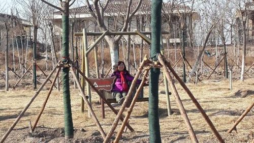 东丽湖度假村(东丽湖度假村值得买吗)插图12