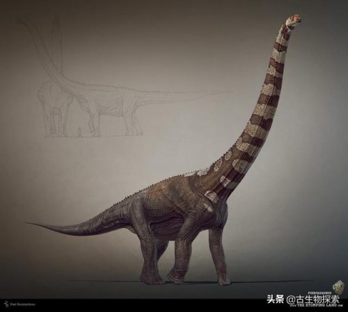 体型排名前十的恐龙(描写恐龙体型的句子)插图10
