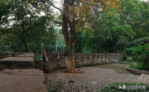 广州城市职业学院(广东工程职业技术学院)插图5
