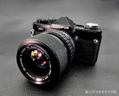 专业相机品牌(十大顶级专业摄影机)插图9