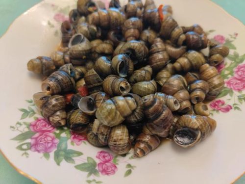 三角牌电饭煲价格(三角牌电饭锅价格图片)插图7