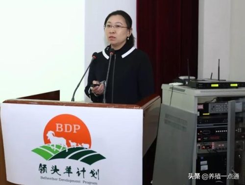 云南反刍饲料排名前十(中国十大反刍饲料品牌)插图1